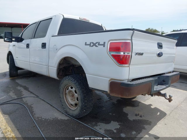 FORD F-150 XL - 3