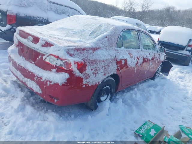 TOYOTA COROLLA - 4
