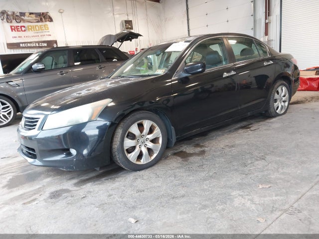 HONDA ACCORD 3.5 EX-L - 2