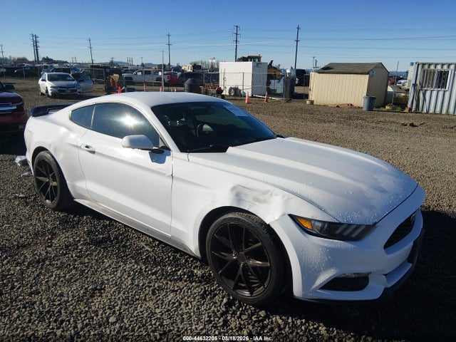FORD MUSTANG V6 - 1