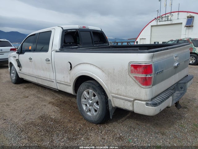 2013 FORD F-150 PLATINUM photo 3