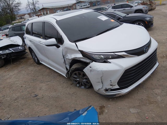 2024 TOYOTA SIENNA XLE