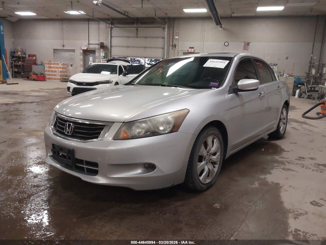 HONDA ACCORD 3.5 EX-L - 2