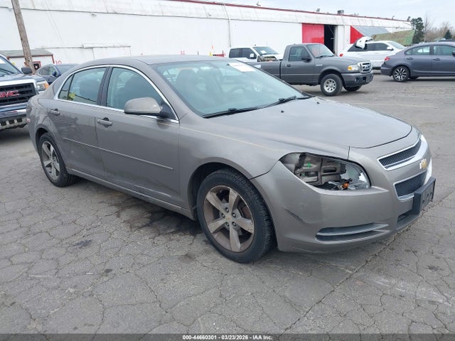 CHEVROLET MALIBU - 1