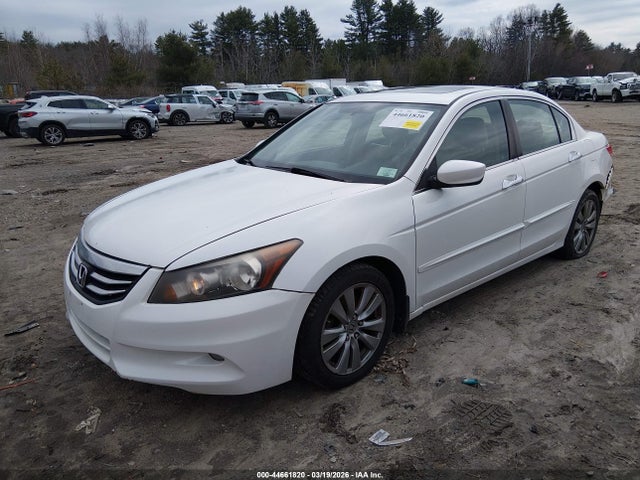 HONDA ACCORD 3.5 EX-L - 2