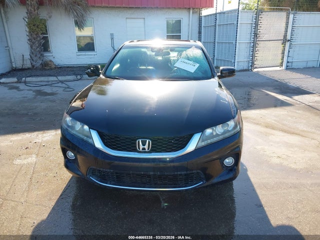HONDA ACCORD EX-L - 6