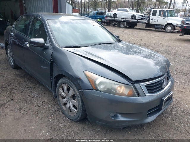 HONDA ACCORD 3.5 EX-L - 1