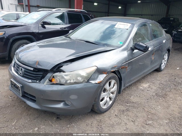 HONDA ACCORD 3.5 EX-L - 6