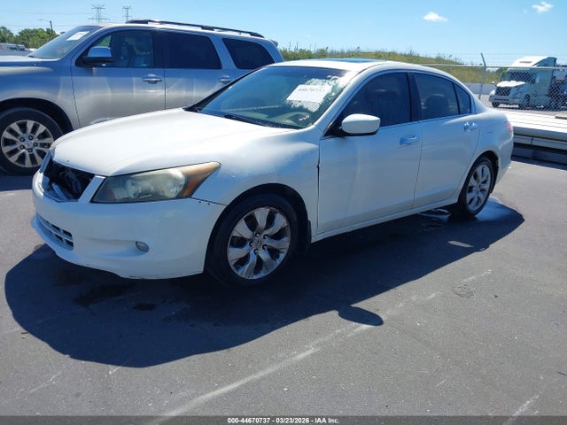 HONDA ACCORD 3.5 EX-L - 2