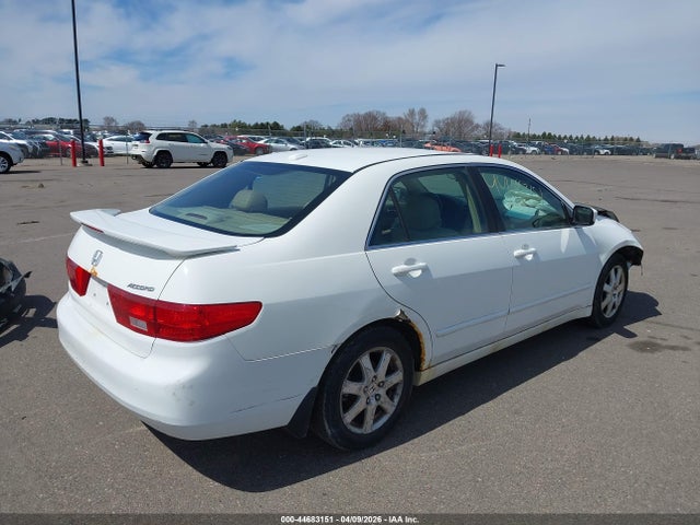 HONDA ACCORD 3.0 EX - 4