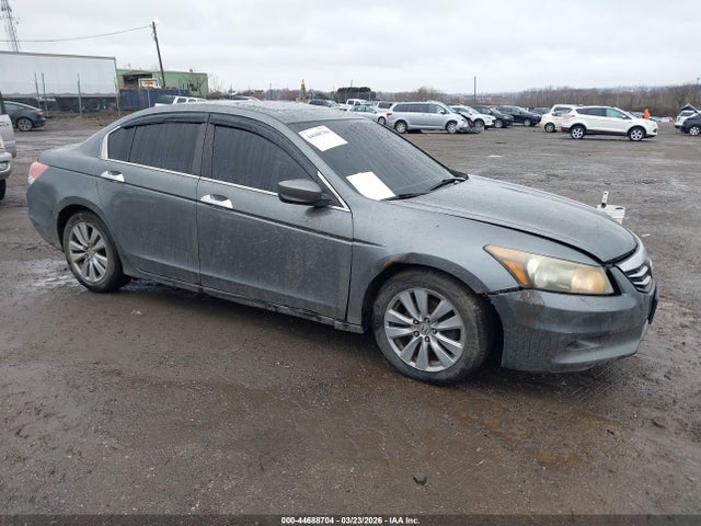 HONDA ACCORD 3.5 EX-L - 1