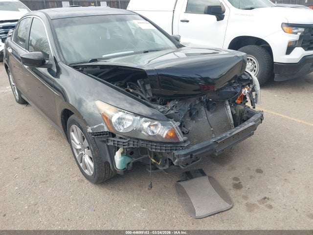 HONDA ACCORD 3.5 EX-L - 6