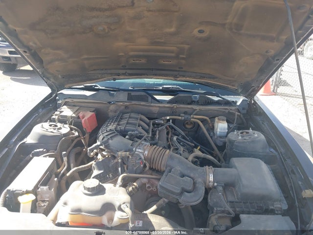 FORD MUSTANG V6 - 10