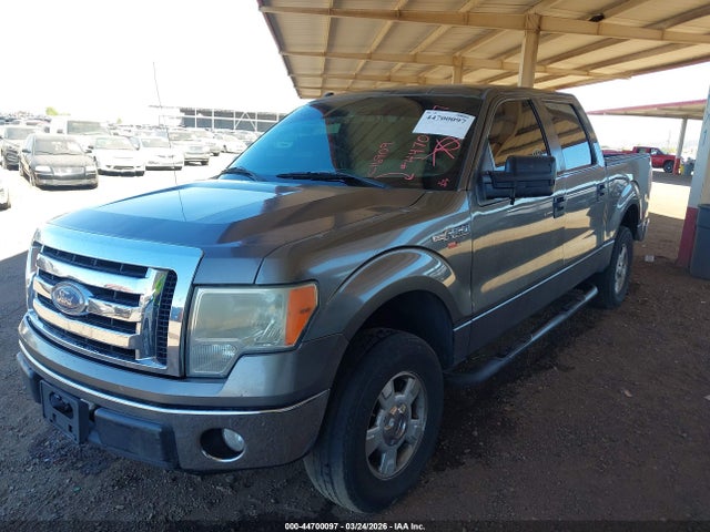 FORD F-150 XLT - 2