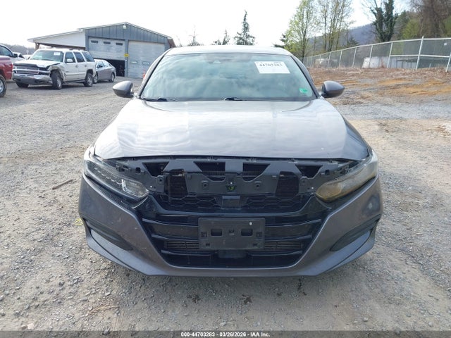 2019 Honda ACCORD LX — миниатюра 13