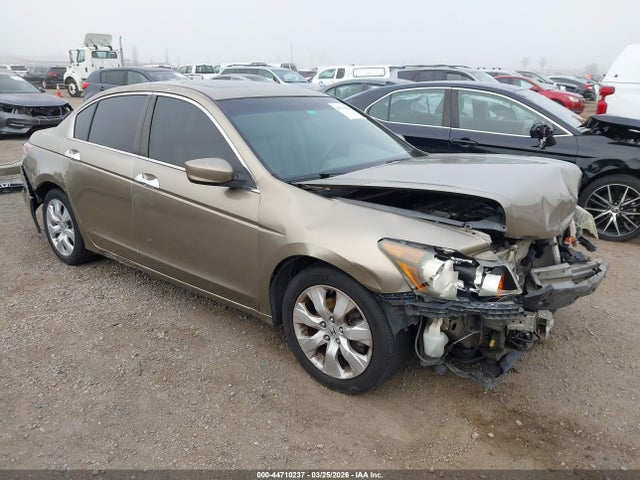 HONDA ACCORD 3.5 EX-L - 1