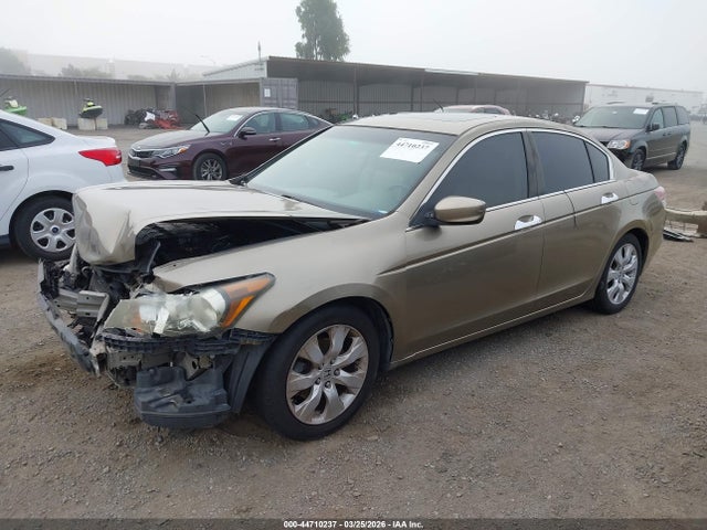 HONDA ACCORD 3.5 EX-L - 2