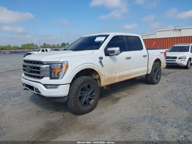 FORD F-150 XLT - 2