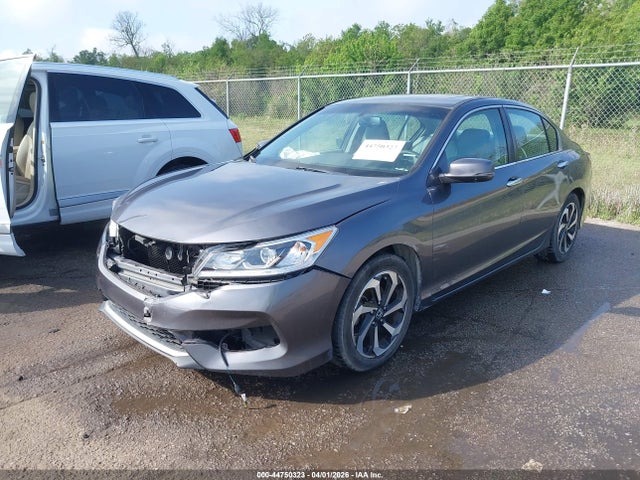 HONDA ACCORD EX-L - 2