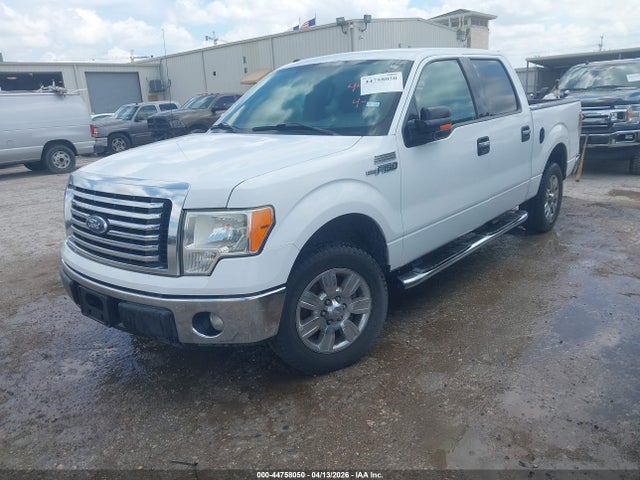 FORD F-150 XLT - 2