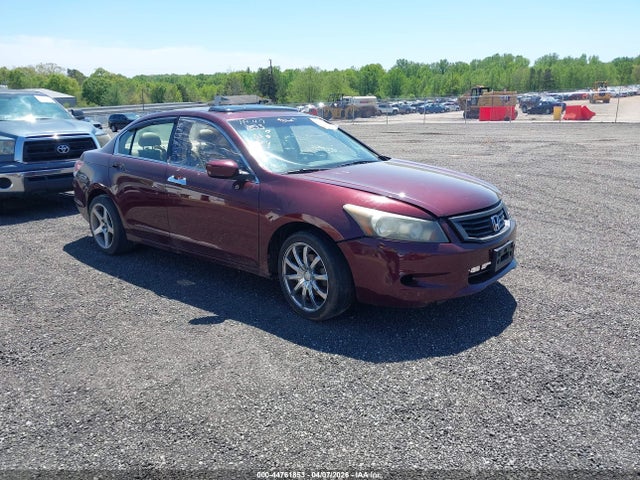 HONDA ACCORD 3.5 EX-L - 1