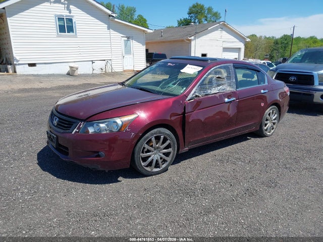 HONDA ACCORD 3.5 EX-L - 2