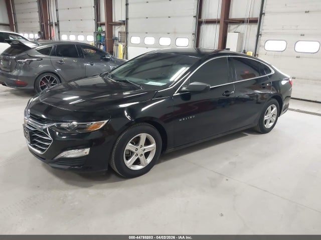 CHEVROLET MALIBU FWD 1FL - 2