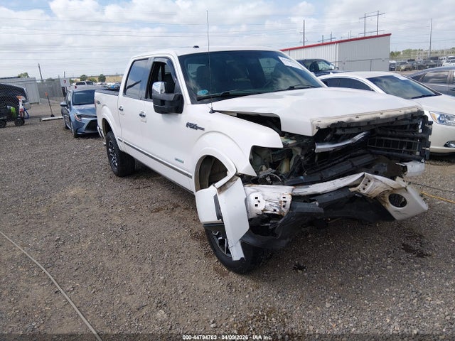 FORD F-150 PLATINUM - 1