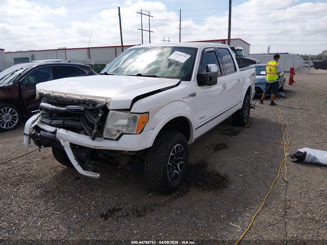 FORD F-150 PLATINUM - 2