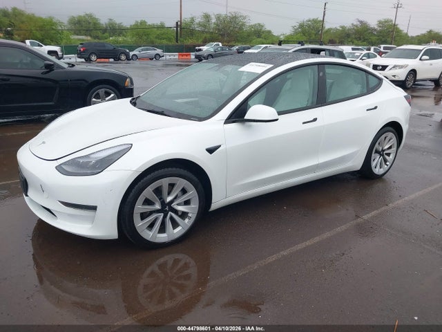 2023 Tesla MODEL 3 REAR-WHEEL DRIVE — фото 2