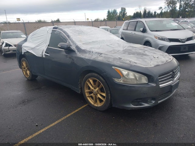 2009 NISSAN MAXIMA 3.5 SV