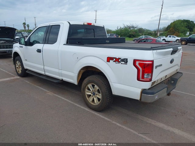 2015 FORD F-150 XLT 照片 3