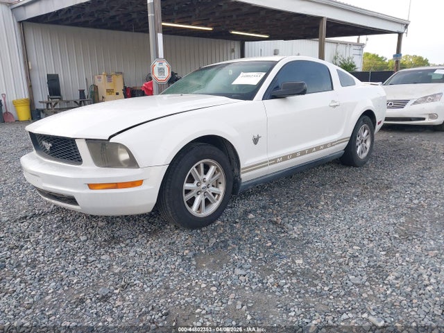 FORD MUSTANG V6 - 2