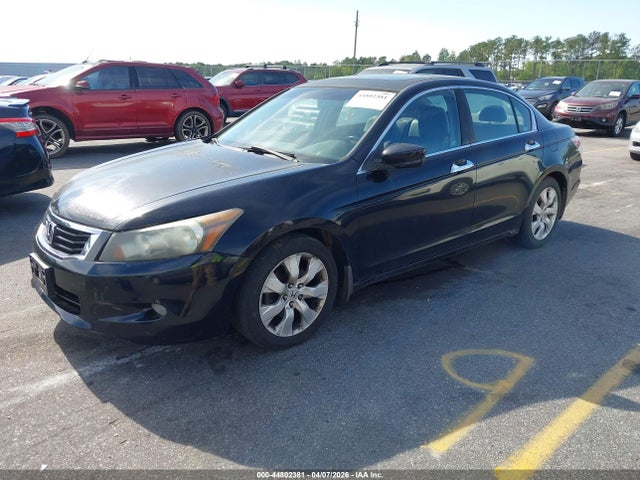 HONDA ACCORD 3.5 EX-L - 2