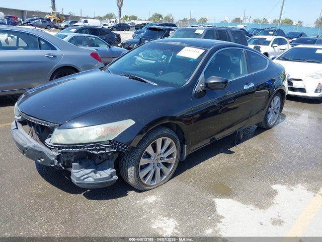 HONDA ACCORD 3.5 EX-L - 2