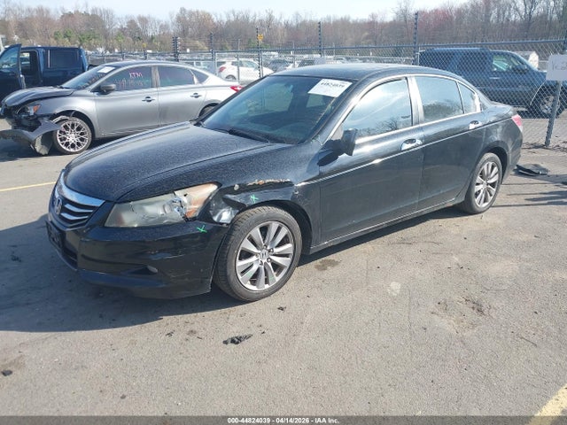HONDA ACCORD 3.5 EX-L - 2
