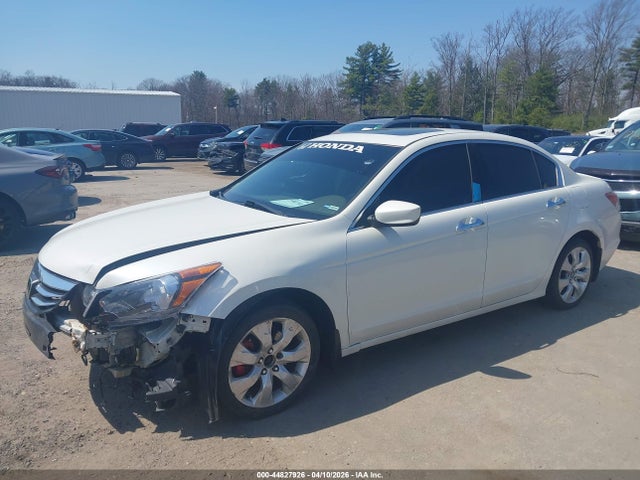 HONDA ACCORD 3.5 EX-L - 2