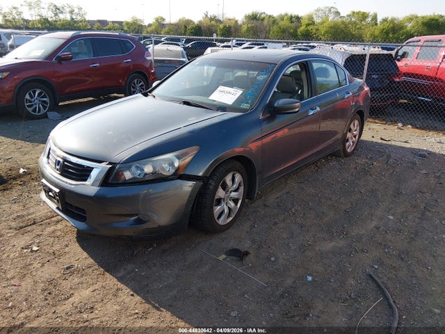 HONDA ACCORD 3.5 EX-L - 2