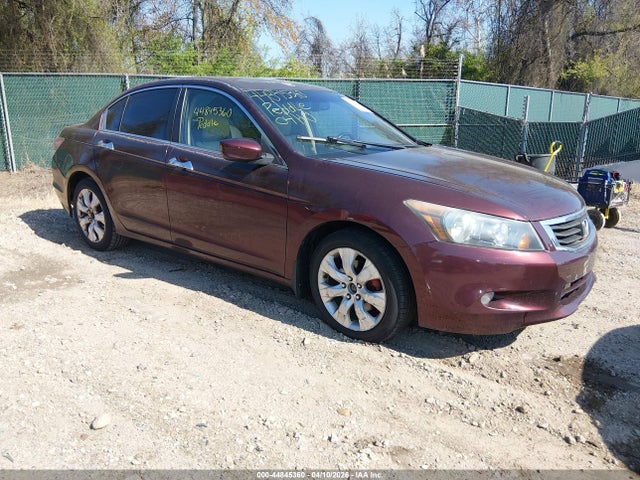 HONDA ACCORD 3.5 EX-L - 1