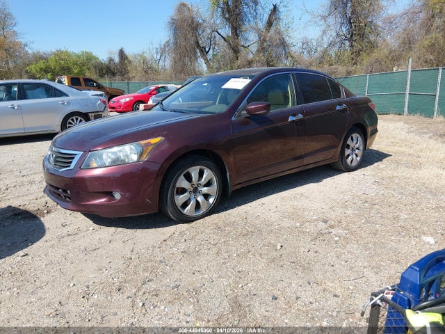 HONDA ACCORD 3.5 EX-L - 2