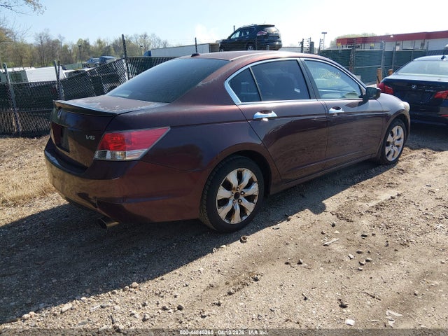 HONDA ACCORD 3.5 EX-L - 4
