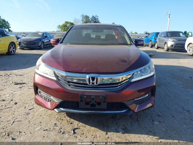 2017 Honda ACCORD EX-L 照片 12