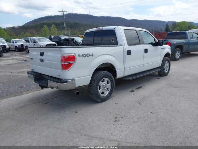 FORD F-150 XLT - 4