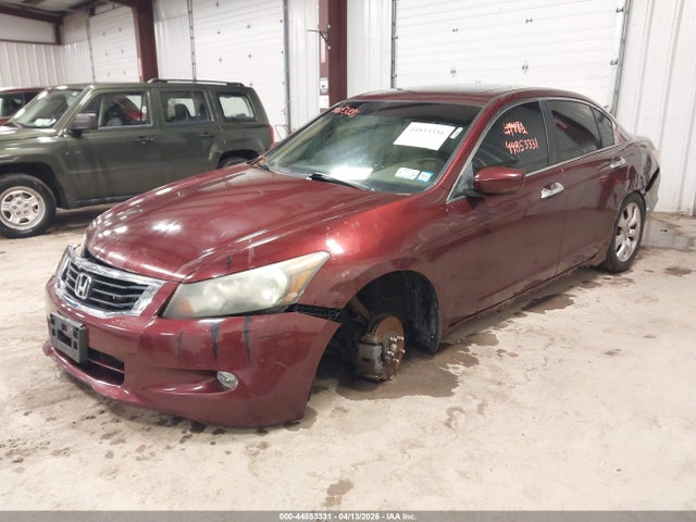 HONDA ACCORD 3.5 EX-L - 2