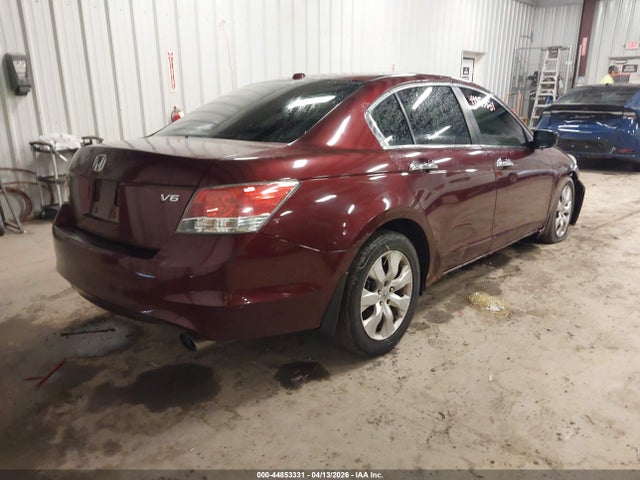 HONDA ACCORD 3.5 EX-L - 4