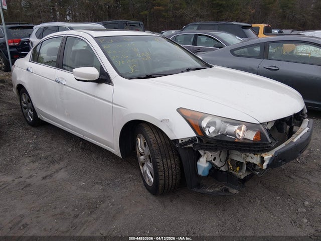 HONDA ACCORD 3.5 EX-L - 1