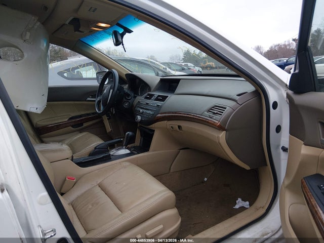 HONDA ACCORD 3.5 EX-L - 5