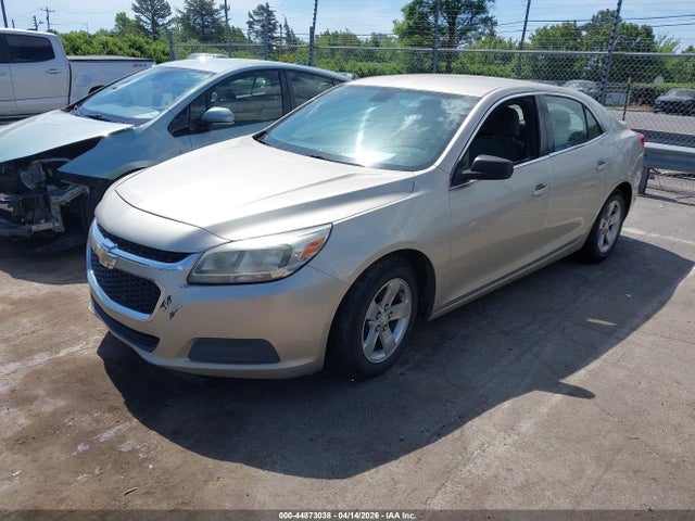 CHEVROLET MALIBU 1FL - 2