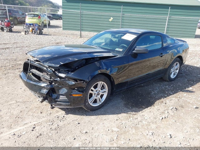 FORD MUSTANG V6 - 2