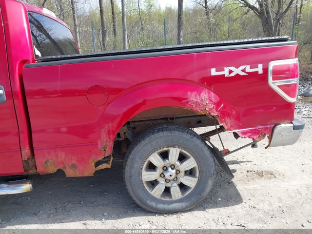 FORD F-150 XLT - 6